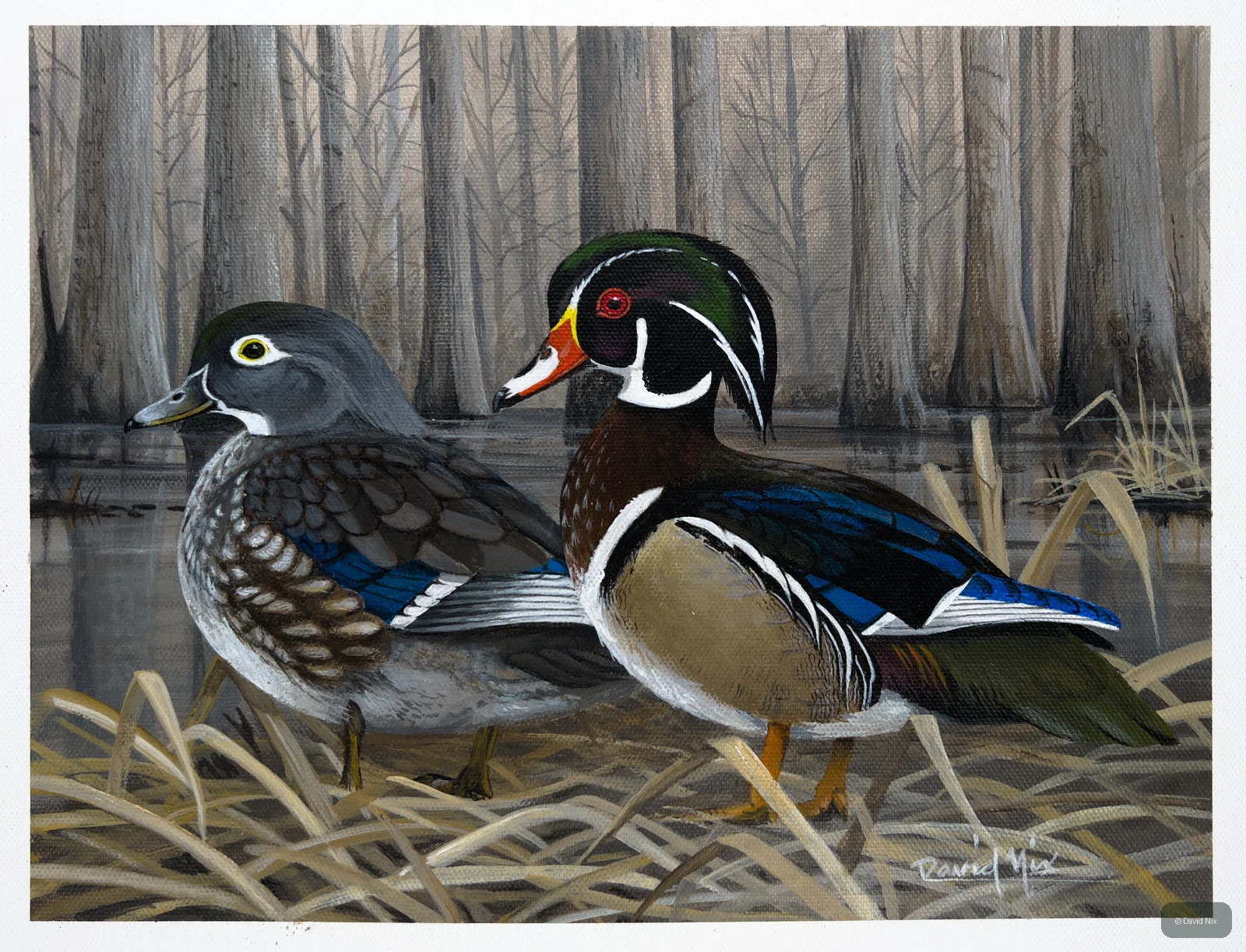 Wood Duck Pair in Woods wildlife artwork.