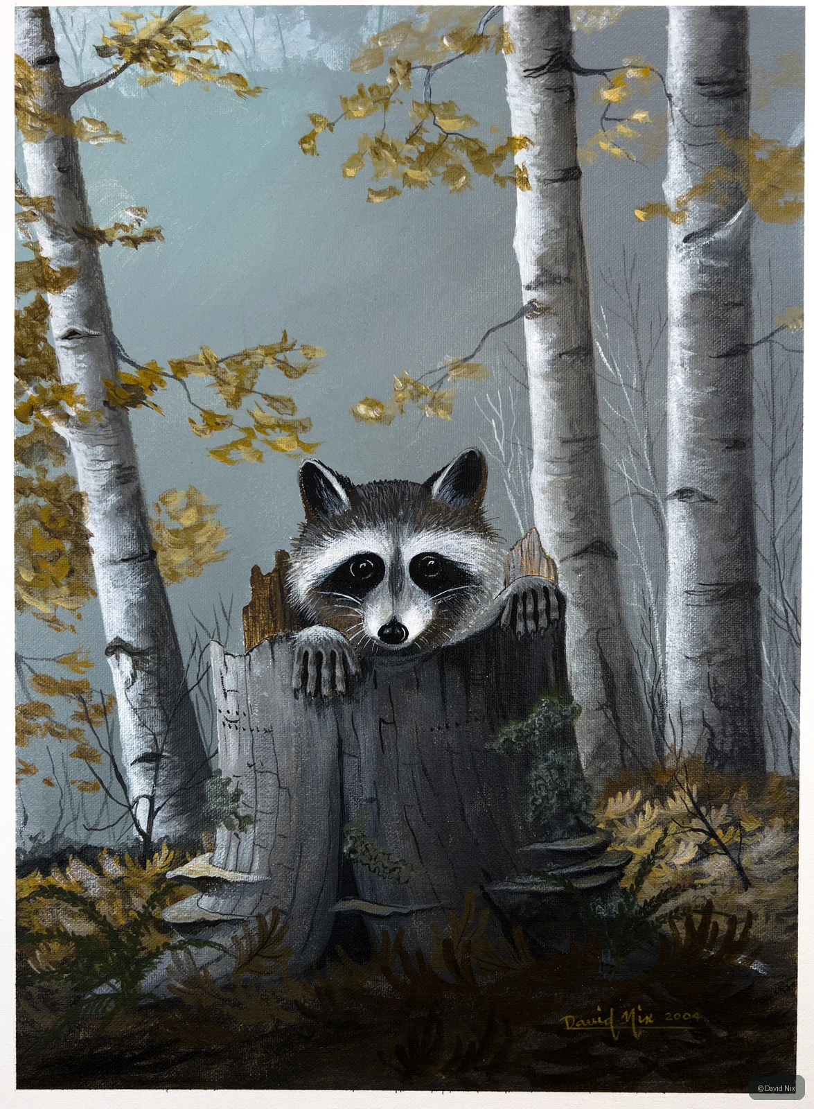 Raccoon Jack-in-the Box; original wildlife artwork in the wildlife series.