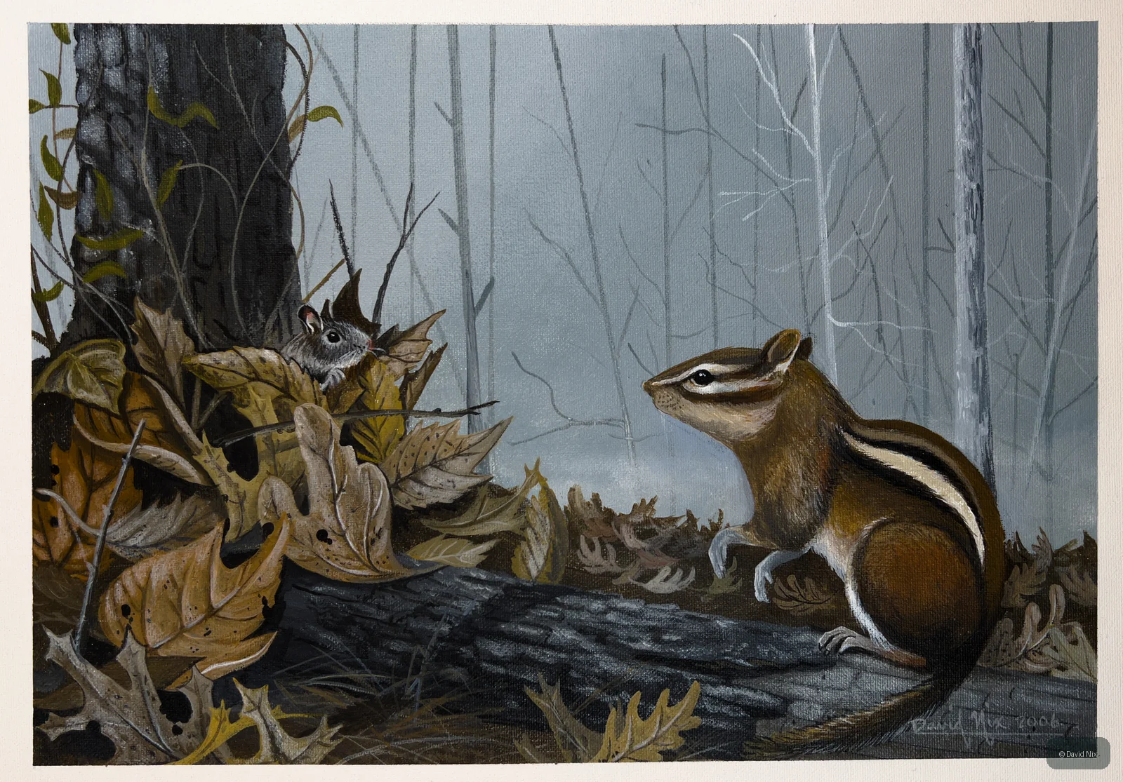 Forest Friends; raccoon subject in the wildlife series.