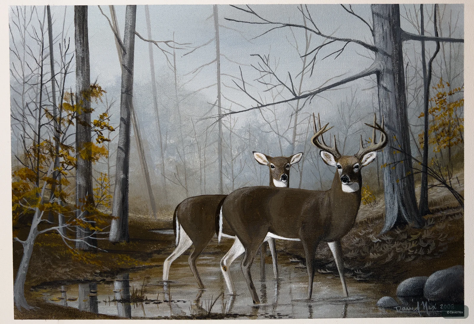 Buck and Doe Crossing a Stream; whitetail deer subject in the wildlife series.
