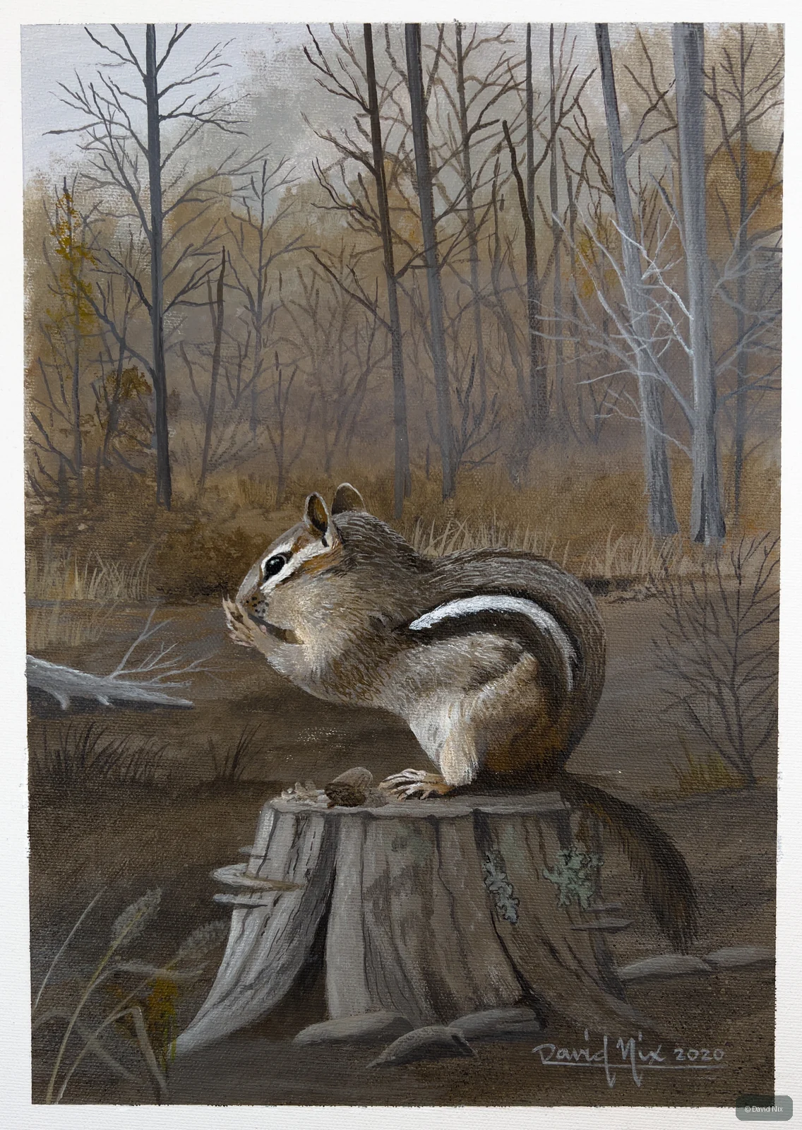 Chipmunk Snacking; original wildlife artwork in the wildlife series.