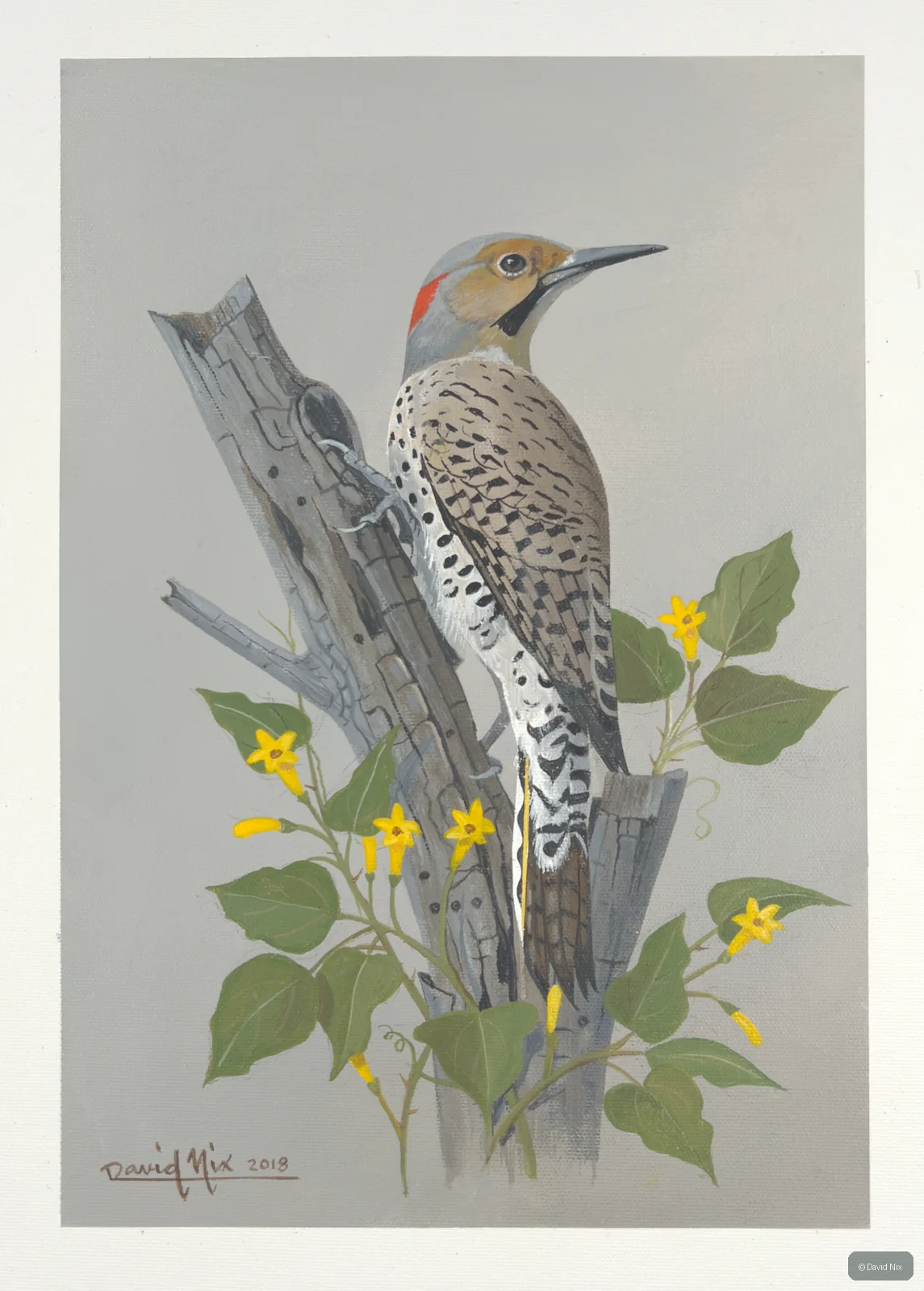 Northern flicker-like bird with yellow flowers.