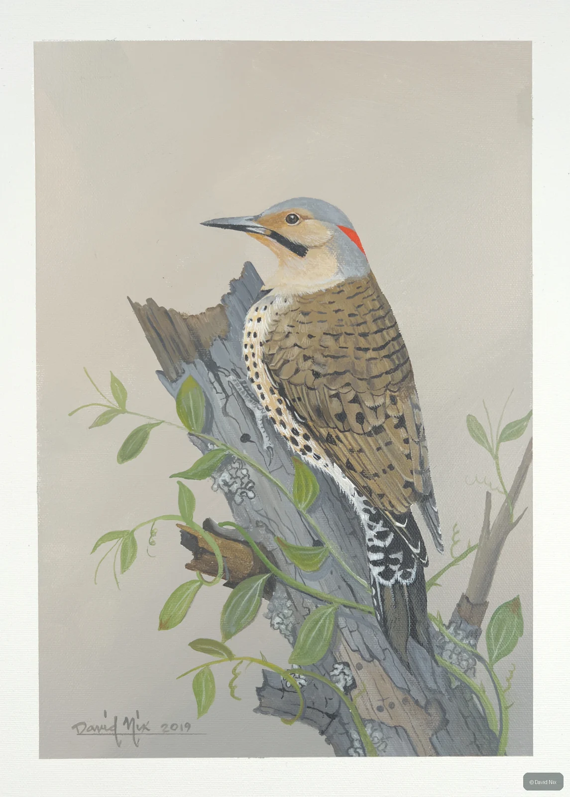 Flicker on branch with greenery.