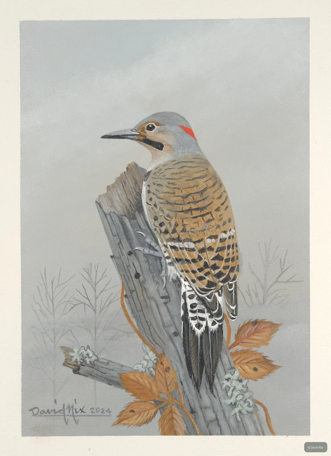 Flicker on snag with autumn leaves.