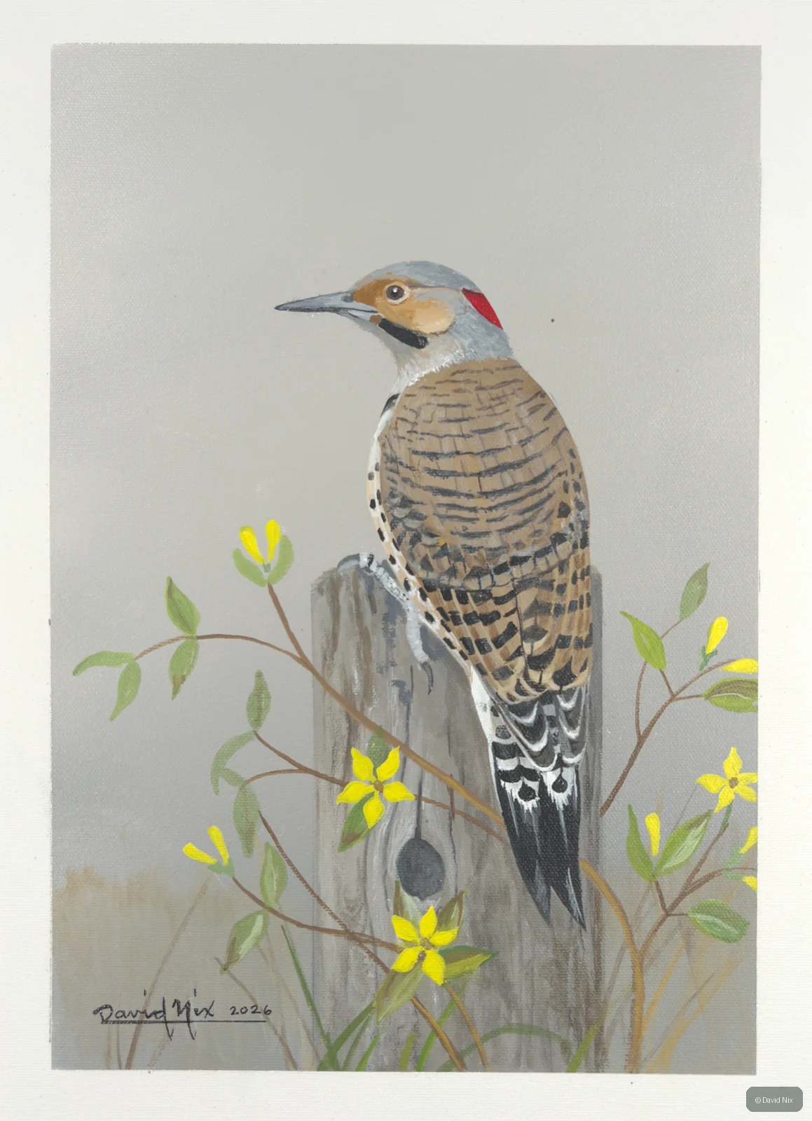 Flicker with yellow flowers and grass.