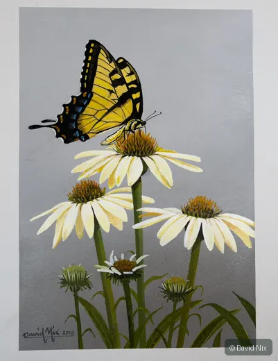 Swallowtail on Cone Flowers; original wildlife artwork in the butterflies series.