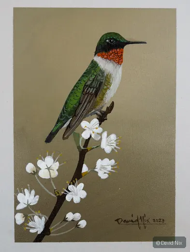 Ruby-Throated Hummingbird Posing; original wildlife artwork in the hummingbirds series.