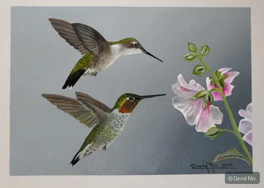 Ruby-Throated Hummingbird Pair; original wildlife artwork in the hummingbirds series.