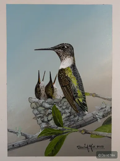 Ruby-Throated Hummingbird and Chicks; original wildlife artwork in the hummingbirds series.