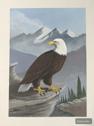 Bald eagle before mountains; classic patriotic/wilderness subject.