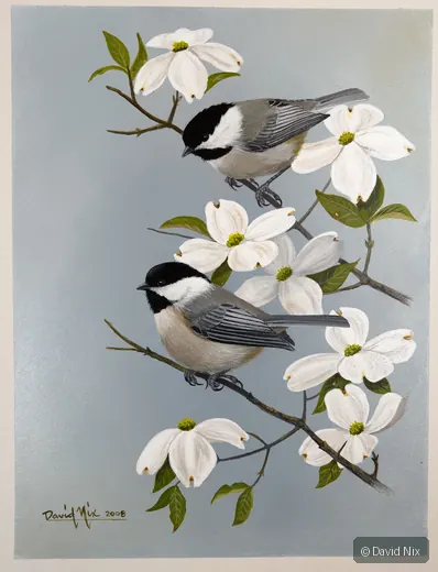 Chickadees in Dogwood; original wildlife artwork in the songbirds series.