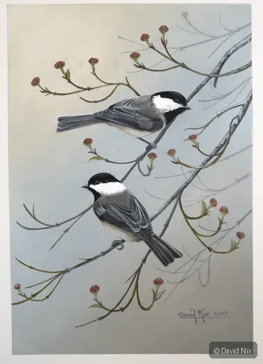 Chickadees in Blossoming Branch; original wildlife artwork in the songbirds series.