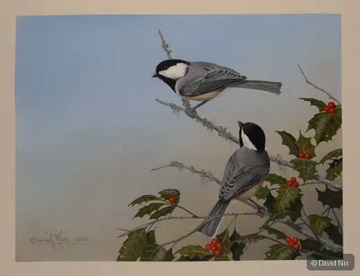 Two chickadees among holly leaves and red berries.