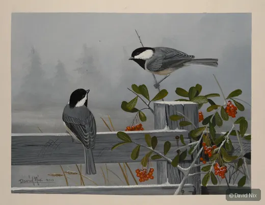 Two chickadees near fence and orange berries in misty winter setting.