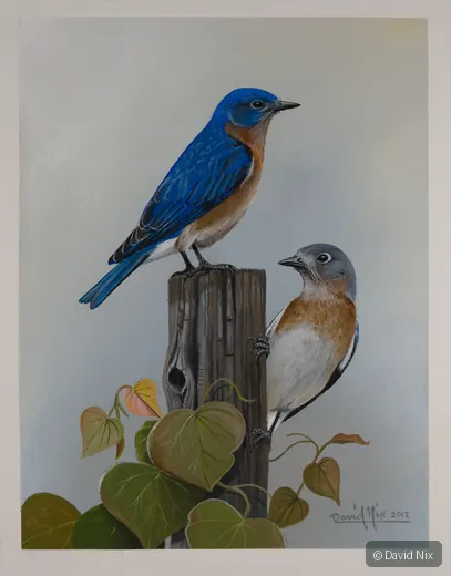 Pair of bluebirds perched by a wooden post and vine leaves.