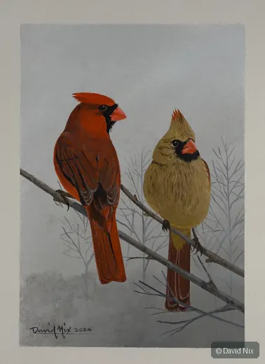 Male and female cardinals on bare winter branch.