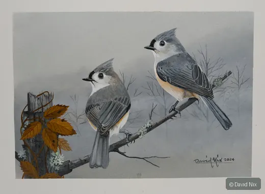 Pair of tufted titmice on branch near fence and autumn leaves.