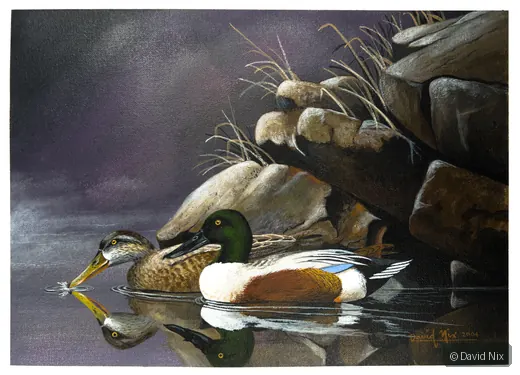 Mallard Pair at Winter’s Twilight; mallard duck wildlife artwork.