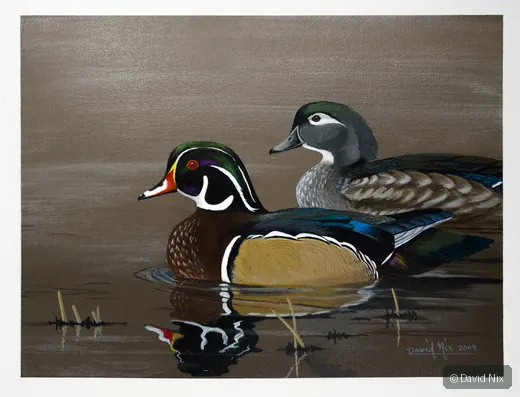 Wood Duck Pair at Dusk wildlife artwork.
