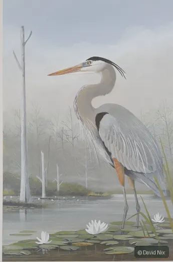 Great Blue Heron in Lily Pond; original wildlife artwork in the waterfowl series.