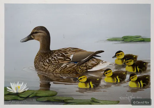 Mama and Ducklings in Lily Pads; mallard duck wildlife artwork.