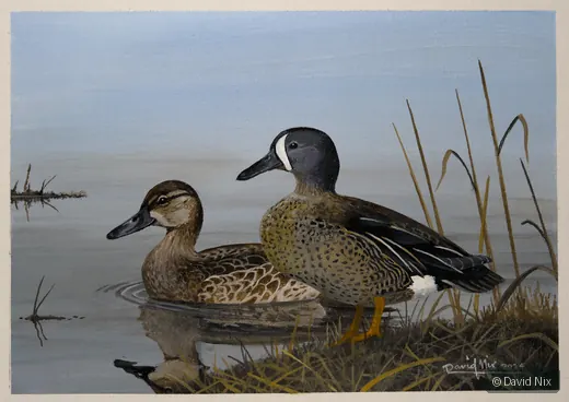 Blue-Winged Teal Pair on Water’s Edge wildlife artwork.