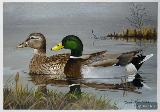 Mallards in the Haze; mallard duck wildlife artwork.
