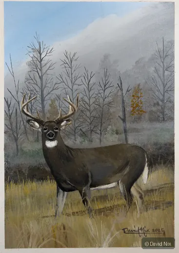 Deer in Fall; whitetail deer subject in the wildlife series.