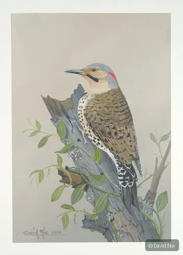 Flicker on branch with greenery.