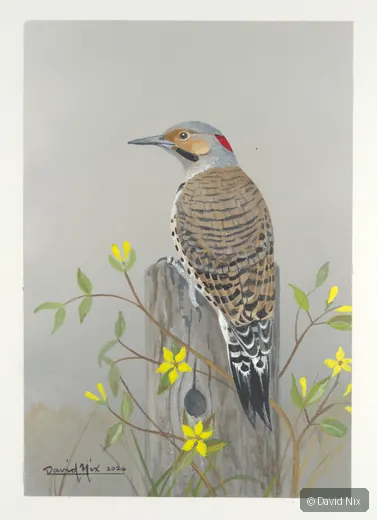 Flicker with yellow flowers and grass.